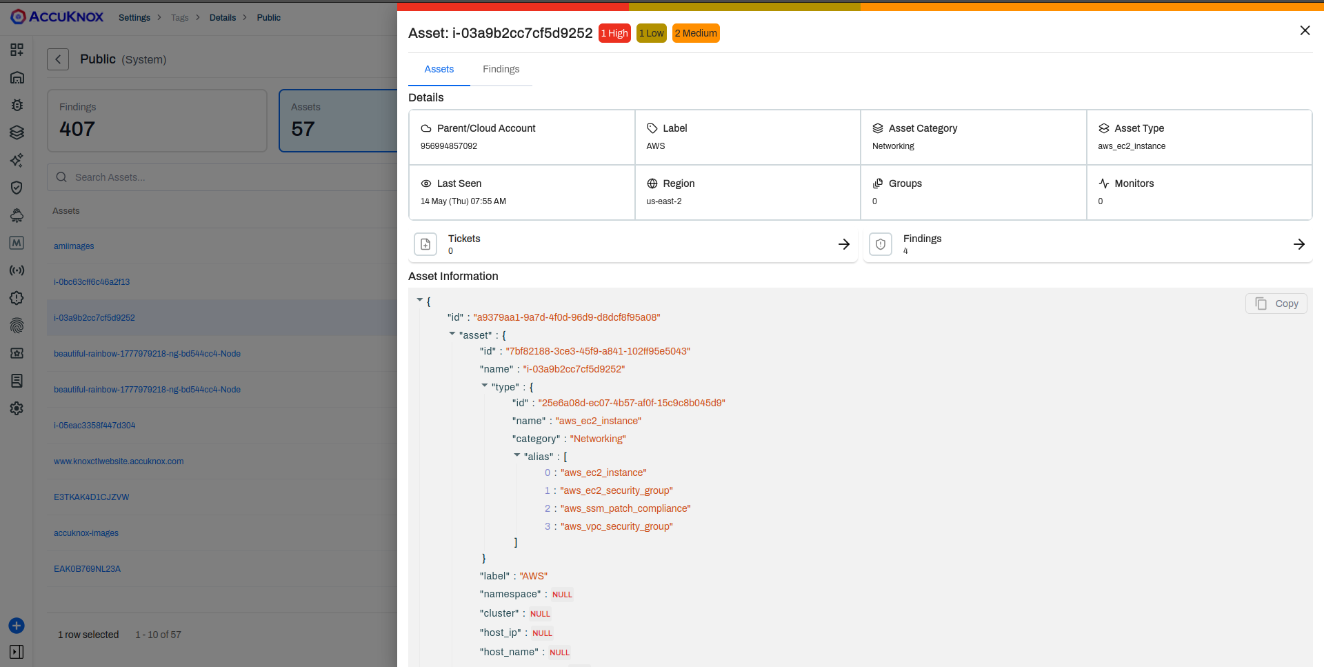 Asset detail panel for an EC2 instance with the Public tag applied