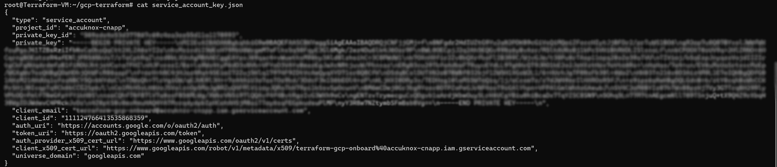 Client Email and Private Key in the generated credentials file