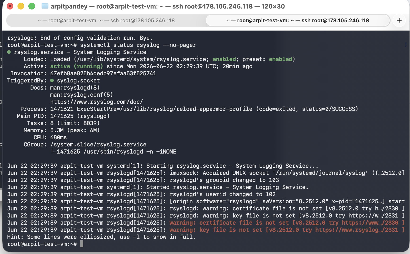 Rsyslog service status
