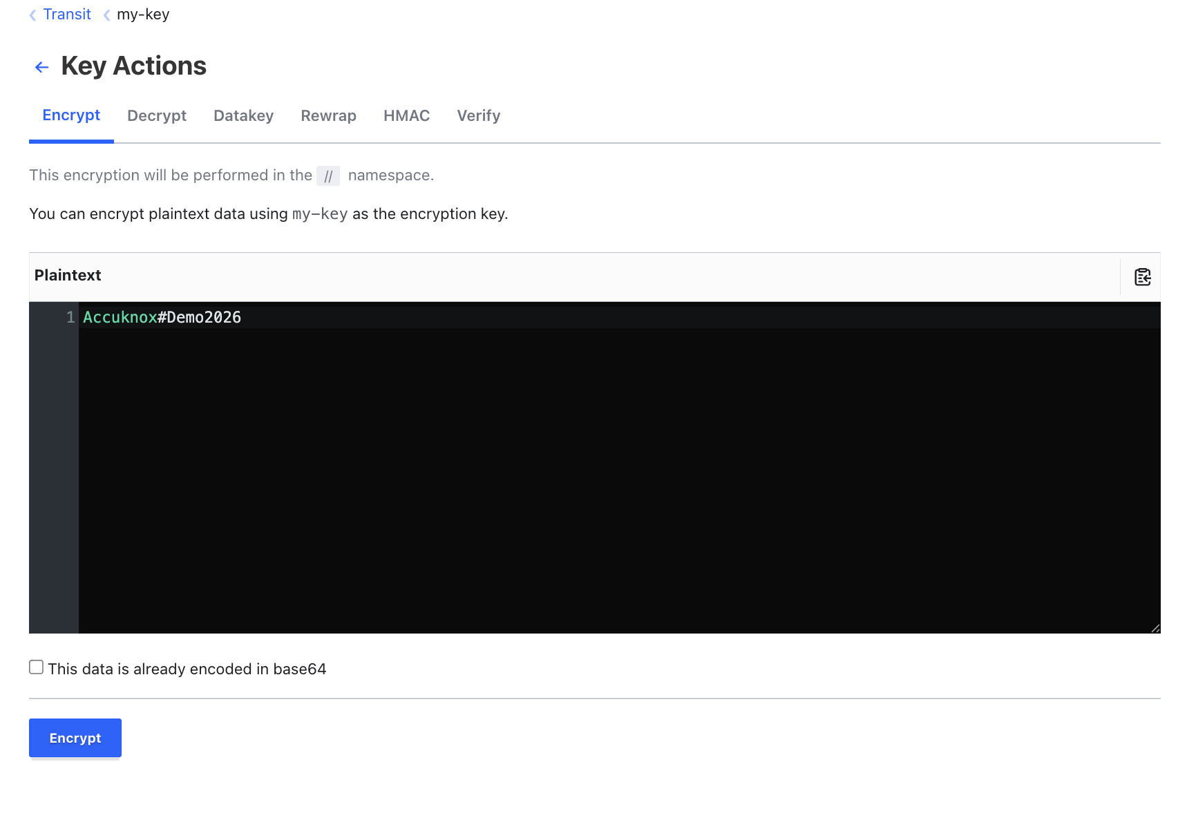 Entering plaintext to encrypt