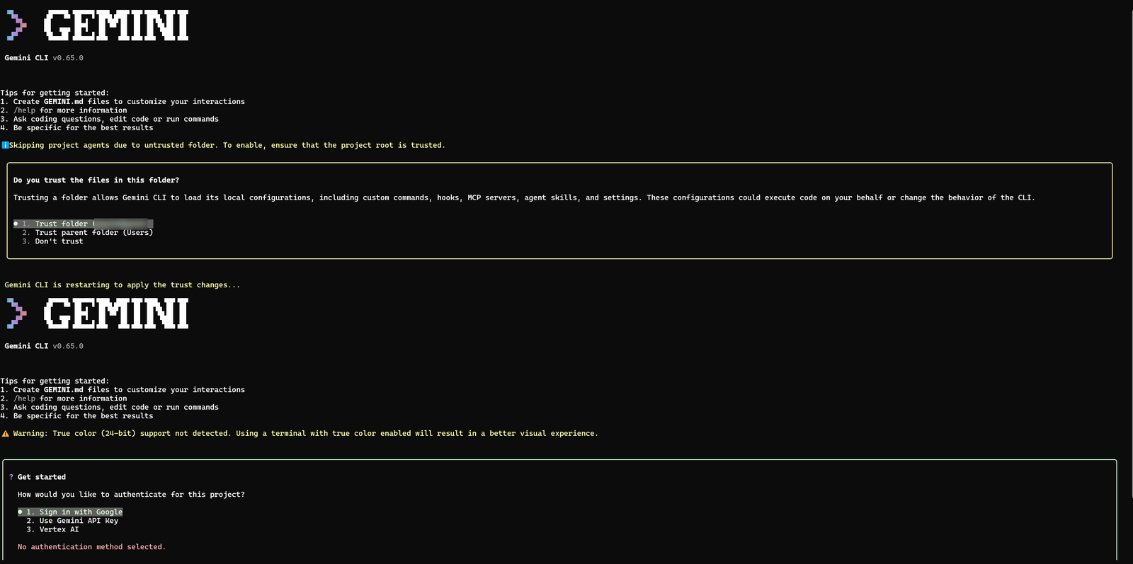 Gemini CLI started in a macOS terminal, showing the trust-folder prompt and the sign-in options